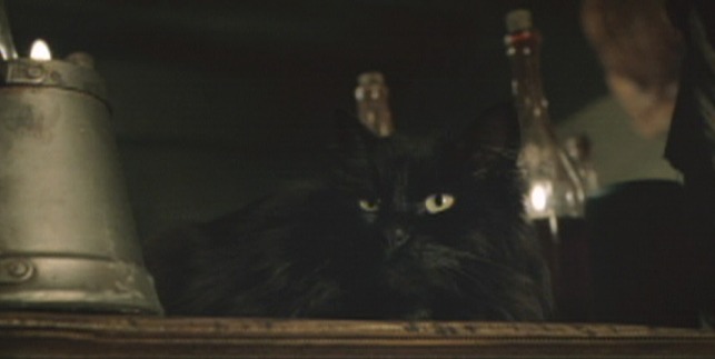 Lord of the Rings: The Fellowship of the Ring