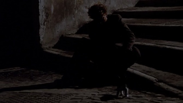 Love and Anarchy - tuxedo kitten approaching Tunin