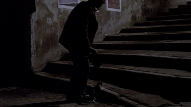 Love and Anarchy - tuxedo kitten walking with Tunin up stairs