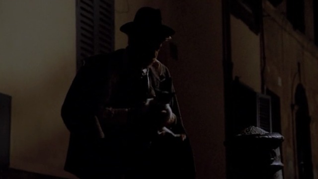 Love and Anarchy - tuxedo kitten picked up by Tunin