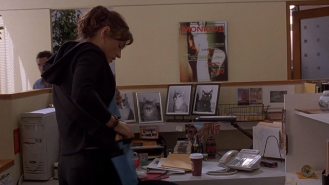 Love & Sex - pictures of four cats on desk