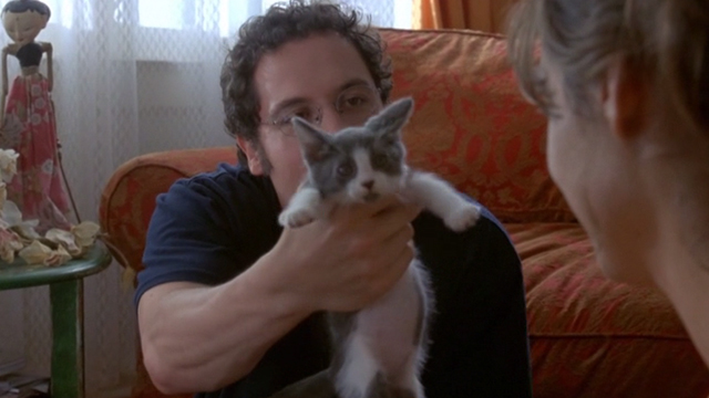 Love & Sex - Adam Jon Favreau holding up grey and white kitten
