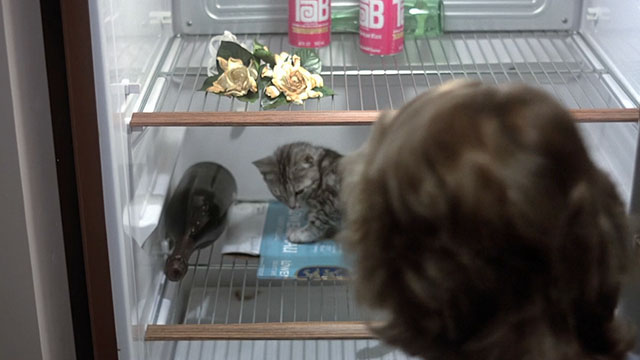 Love at First Bite - Cindy finding grey tabby kitten inside refrigerator
