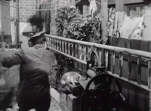 The Love Match - ginger and white cat being shooed off cold frame by Brown Arthur Askey