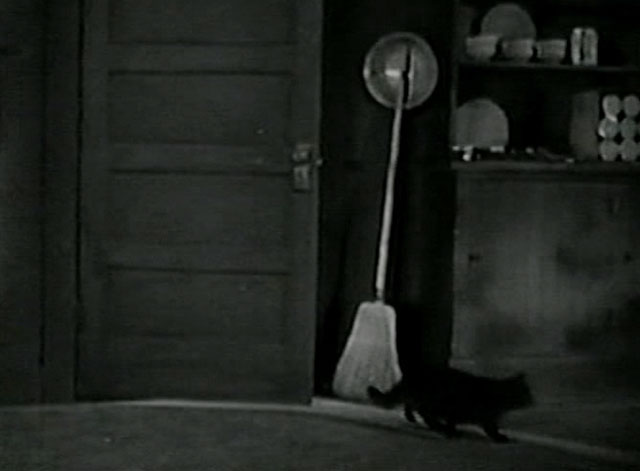 Love Among the Millionaires - longhair black cat coming through door