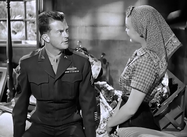 Love Nest - long haired tabby cat Suds jumps out from newspapers on bed