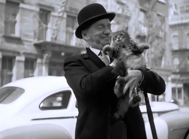 Love Nest - long haired tabby cat Suds held by Charles Frank Fay