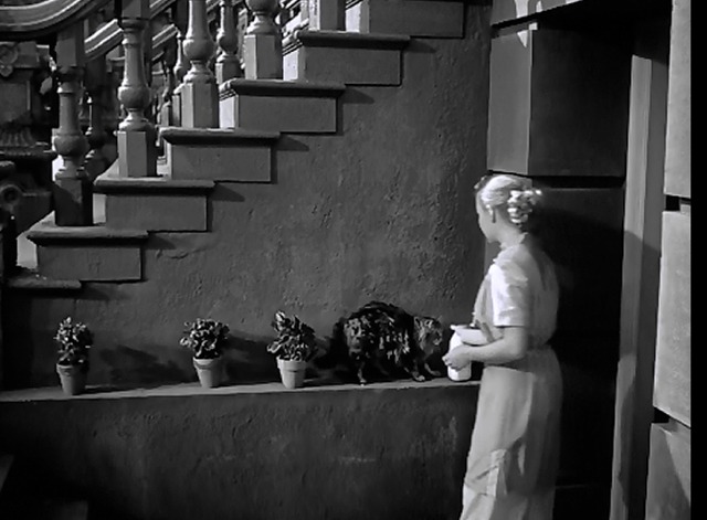 Love Nest - long haired tabby cat Suds licking milk bottle beside Connie June Haver