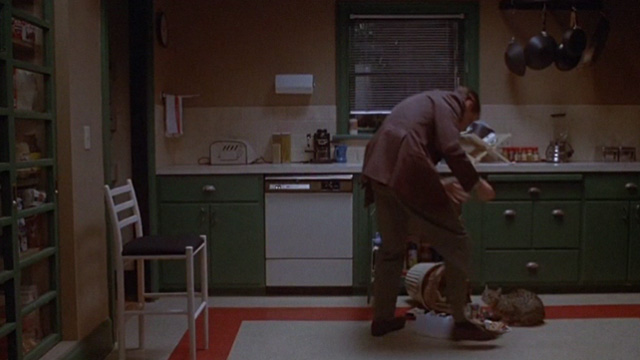 Love Potion No. 9 - tabby cat next to spilled garbage can with Paul Tate Donovan