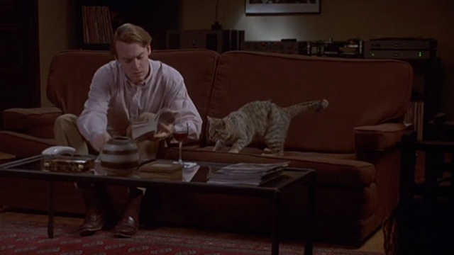 Love Potion No. 9 - tabby cat on couch with Paul Tate Donovan