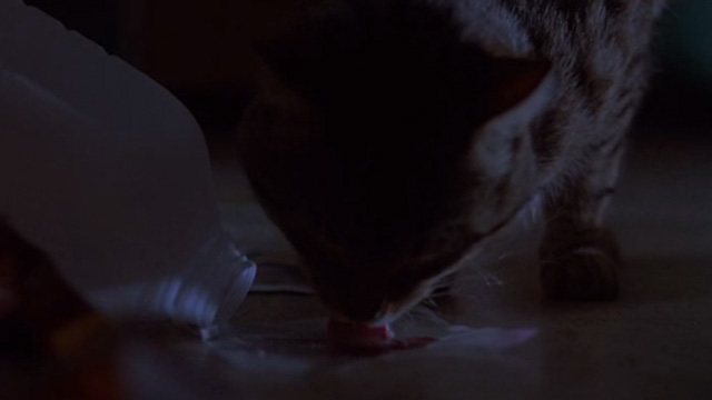 Love Potion No. 9 - tabby cat licking up milk and potion