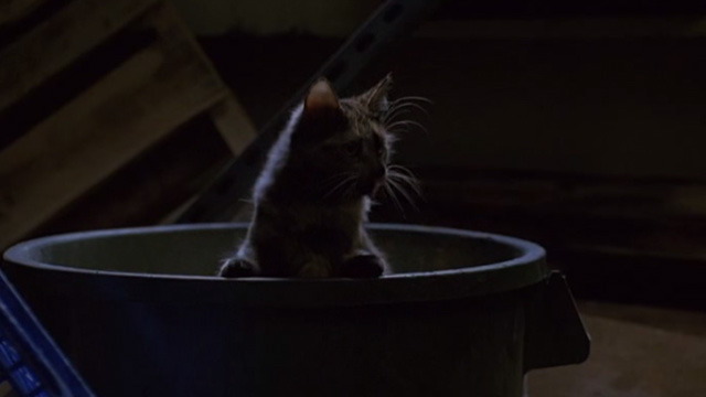 Love Potion No. 9 - tortoiseshell cat in garbage can
