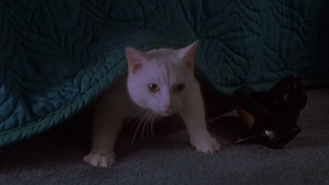 Love Potion No. 9 - white cat under bed