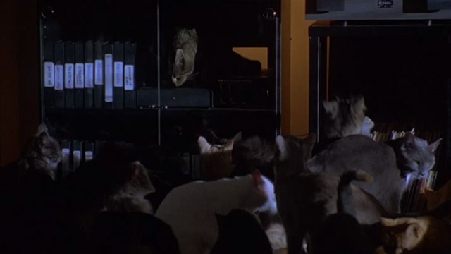 Love Potion No. 9 - cats invading living room