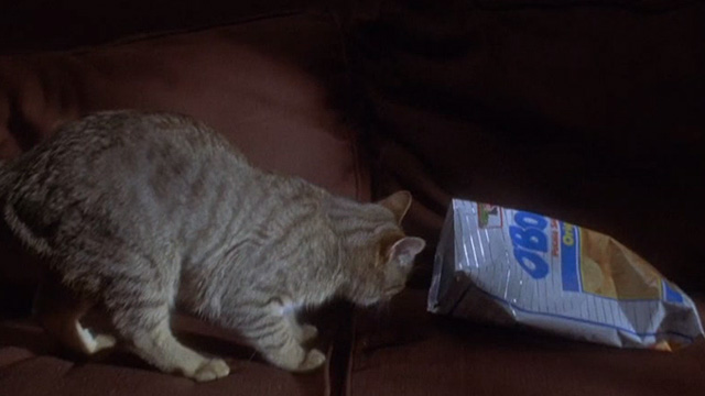 Love Potion No. 9 - tabby cat eating from chip bag