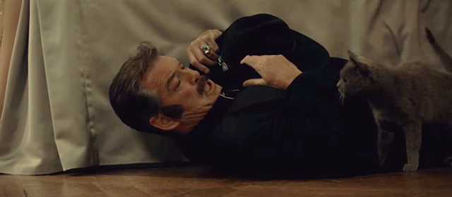 The Love Punch - Richard Pierce Brosnan lying on floor by bed with gray cat
