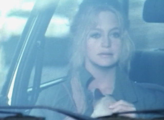 Lovers and Liars - Anita Goldie Hawn in car with Siamese kitten Tricky