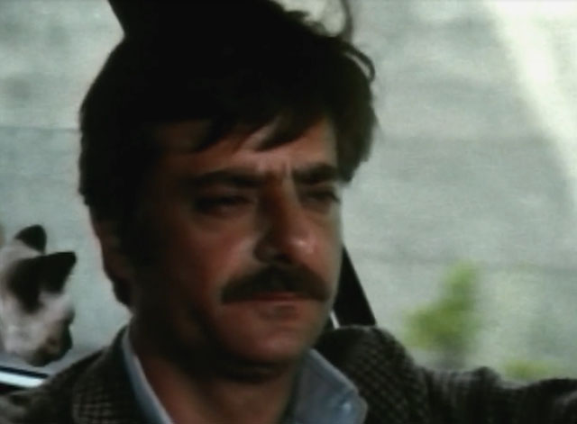 Lovers and Liars - Guido Giancarlo Giannini with Siamese kitten Tricky in car