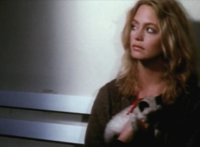Lovers and Liars - Anita Goldie Hawn with Siamese kitten Tricky