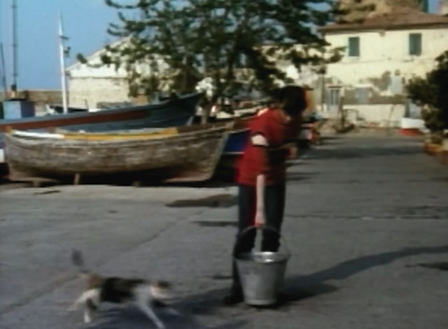 Lovers and Liars - calico cat running past boy with bucket
