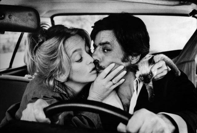 Lovers and Liars - Guido Giancarlo Giannini and Anita Goldie Hawn in car with Siamese kitten Tricky publicity still