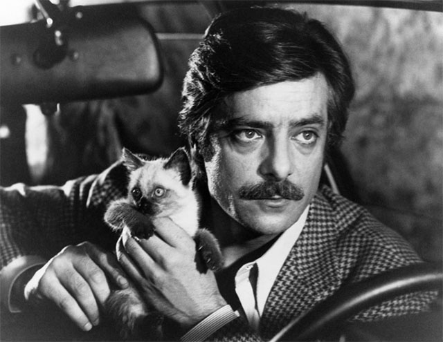 Lovers and Liars - Guido Giancarlo Giannini in car with Siamese kitten Tricky publicity still