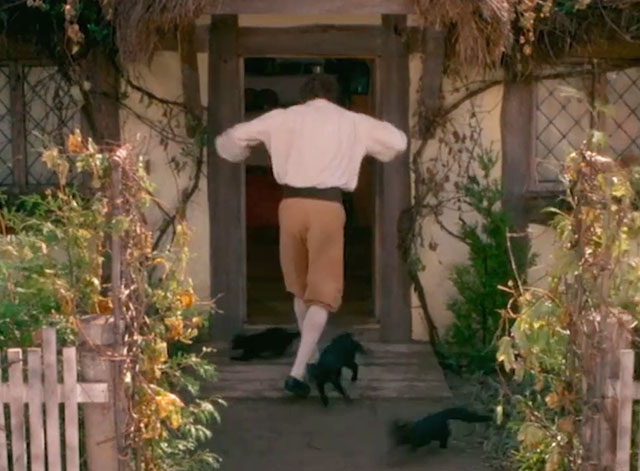 Love at Stake - Miles Patrick Cassidy at door of house with black cats running out