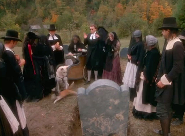 Love at Stake - ginger and white tabby cat running away from funeral