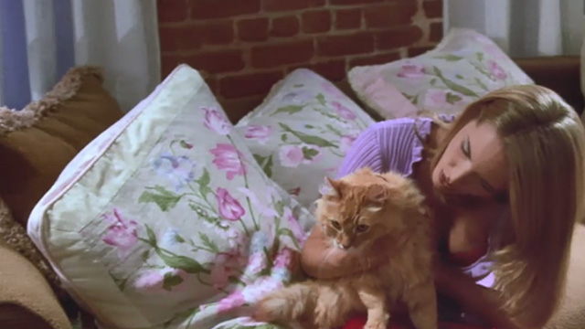 Love Stinks - Chelsea Bridgette Wilson holding longhaired ginger tabby Gracie