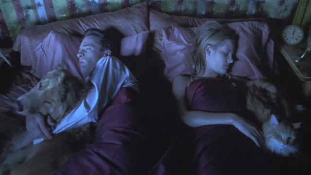Love Stinks - Chelsea Bridgette Wilson and Seth French Stewart in bed with longhaired ginger tabby Gracie and dog Elvis