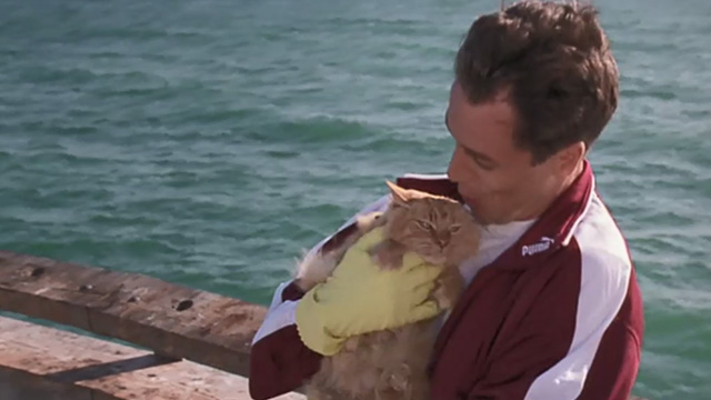 Love Stinks - Seth French Stewart holding longhaired ginger tabby Gracie at end of pier