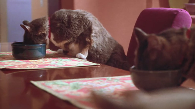 Love Stinks - cats eating at table