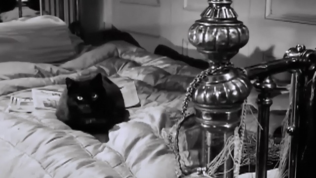 The L-Shaped Room - black cat Benji sitting on bed