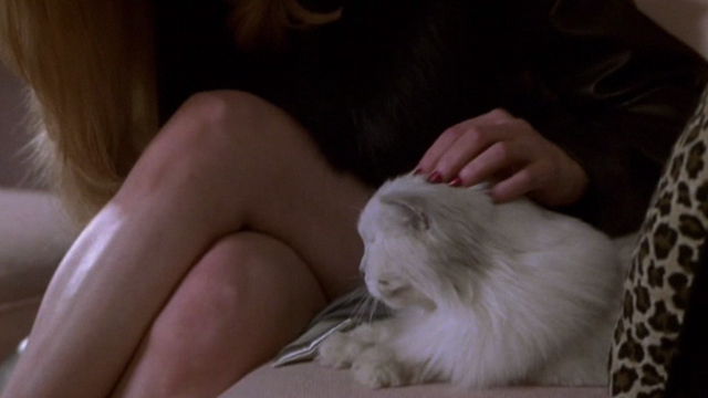 Lucky Numbers - white Angora cat sitting on sofa with Crystal Lisa Kudrow close