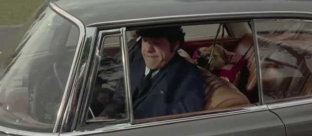 Il lungo, il corto, il gatto - The Long, the Short and the Cat - seal point Siamese cat Archibald in back of car driven by Franco Franchi