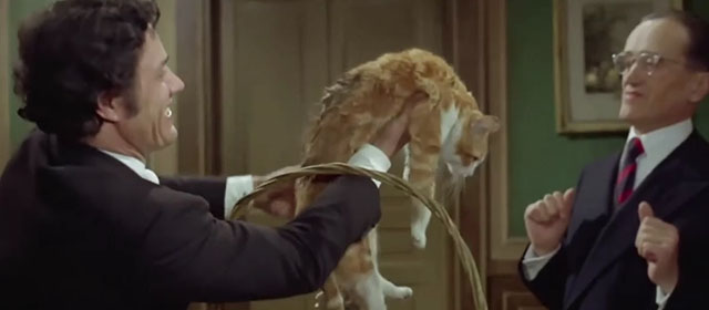 Il lungo, il corto, il gatto - The Long, the Short and the Cat - Franco Franchi holding up dirty ginger and white tabby cat in front of the notary Silvio Bagolini