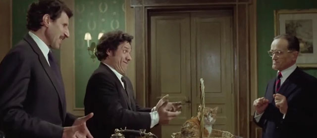 Il lungo, il corto, il gatto - The Long, the Short and the Cat - Franco Franchi and Ciccio Ingrassia with dirty ginger and white tabby cat in basket and notary Silvio Bagolini