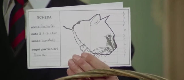 Il lungo, il corto, il gatto - The Long, the Short and the Cat - Identikit drawing of seal point Siamese cat Archibald