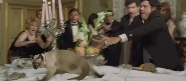 Il lungo, il corto, il gatto - The Long, the Short and the Cat - seal point Siamese cat Archibald being chased across table by Franco Franchi and Ciccio Ingrassia