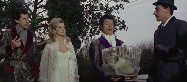 Il lungo, il corto, il gatto - The Long, the Short and the Cat - seal point Siamese cat Archibald in cage with Franco Franchi, Ciccio Ingrassia and Gina Ivy Holzer