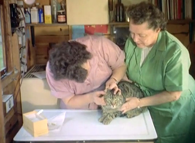 Luxury Cats' Home - Mrs. Mollie Turney and Kathleen Bradley examining large brown tabby cat