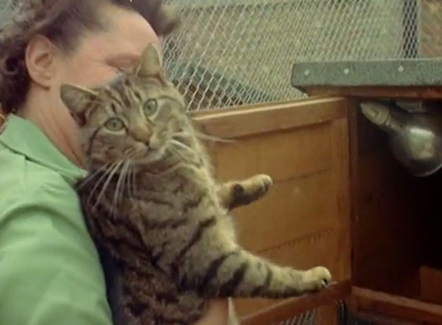 Luxury Cats' Home - Mrs. Mollie Turney carrying large brown tabby cat into kennel
