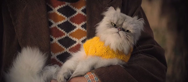 Lyle Lyle Crocodile - silver Persian longhair cat Loretta wearing yellow sweater