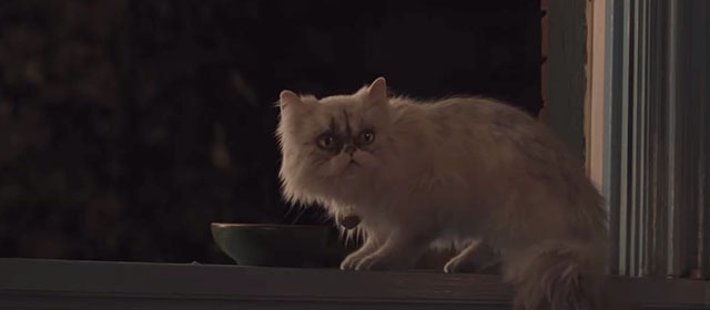 Lyle Lyle Crocodile - silver Persian longhair cat Loretta with bowl of milk on windowsill