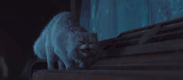 Lyle Lyle Crocodile - silver Persian longhair cat Loretta hissing