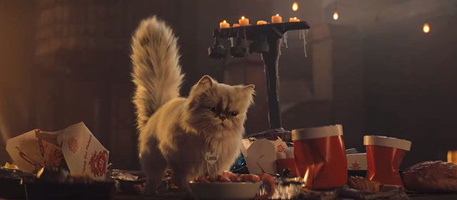 Lyle Lyle Crocodile - silver Persian longhair cat Loretta eyeing shrimp