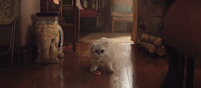 Lyle Lyle Crocodile - silver Persian longhair cat Loretta after coughing up shrimp