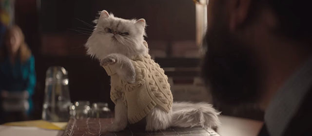 Lyle Lyle Crocodile - silver Persian longhair cat Loretta smirking in court