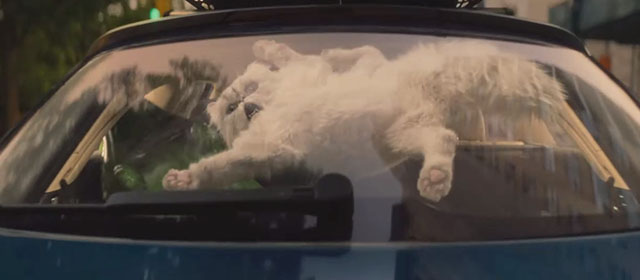Lyle Lyle Crocodile - silver Persian longhair cat Loretta smashed in car window