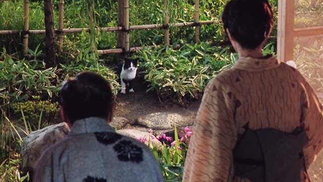 Madadayo - Professor Hyakken Uchida Tatsuo Matsumura with wife Kyôko Kagawa looking at tuxedo cat Kurz entering garden